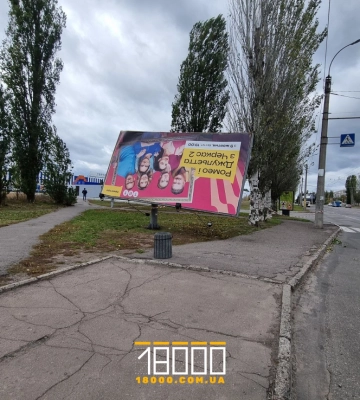 Повалені дерева: на Черкащині ліквідовують наслідки негоди