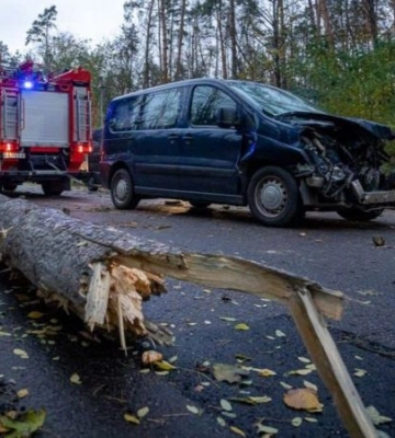 У Києві внаслідок падіння дерева загинув чоловік