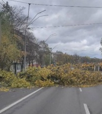 У Києві через негоду перекрили рух транспорту: де не проїхати, фото