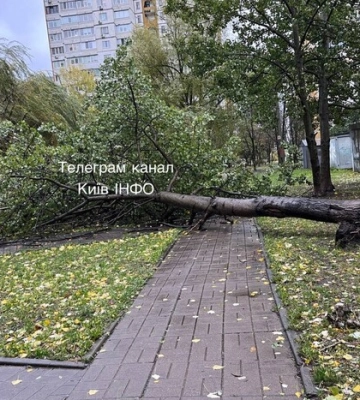 ДТЕК повідомив про руйнівні наслідки урагану на Київщині