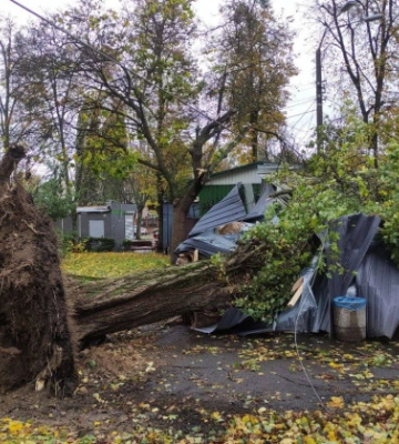 В Киеве затруднено движение транспорта из-за непогоды: список улиц