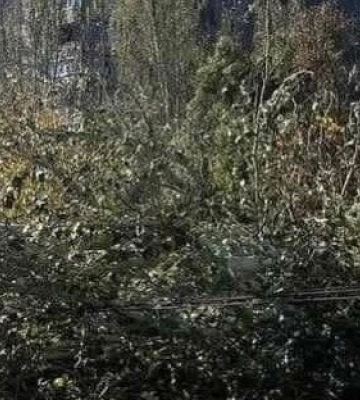 Штормове попередження в Дніпрі та області: як відбувається ліквідація наслідків негоди в регіоні