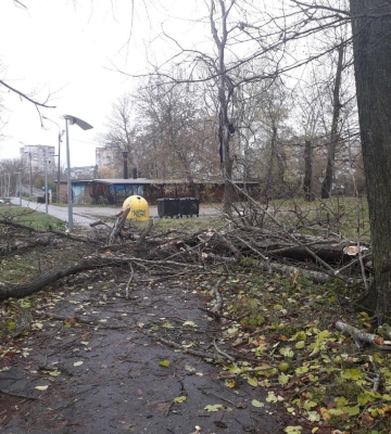 У Сумах усувають наслідки негоди