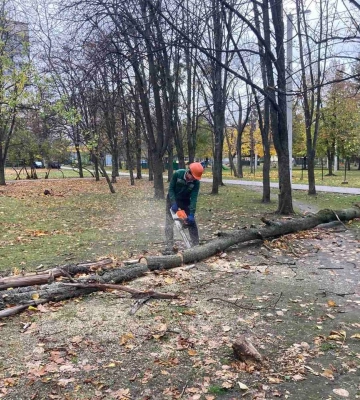101 дерево и 94 большие ветки повалил ветер в Харькове