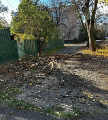 Повалені дерева, понівечені автівки: наслідки негоди у Полтаві ФОТО