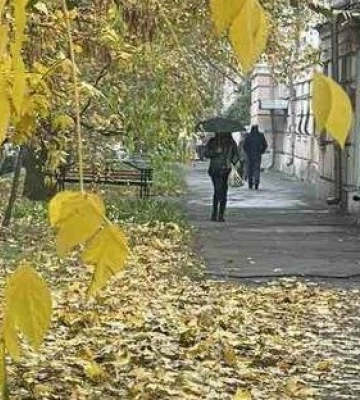 Вітер заспокоїться: у Полтаві буде тепло та без істотних опадів