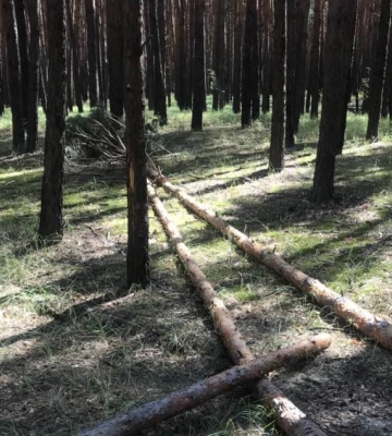 Сосни падали із жахливим тріском скрізь – блогерка про стихію на Харківщині