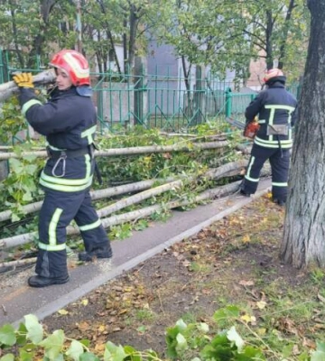 Закріплювали конструкції балконів, прибирали дерева, демонтували біл-борд: як ліквідовували наслідки негоди 