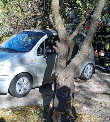 Рятувальники показали наслідки шквального вітру у Запоріжжі