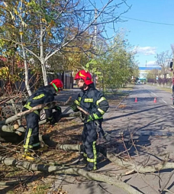 У Кривому Розі дівчина обікрала бабусю