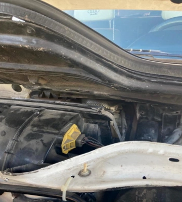 Вуж-автолюбитель: на Волині рятувальники виловили плазуна під капотом авто