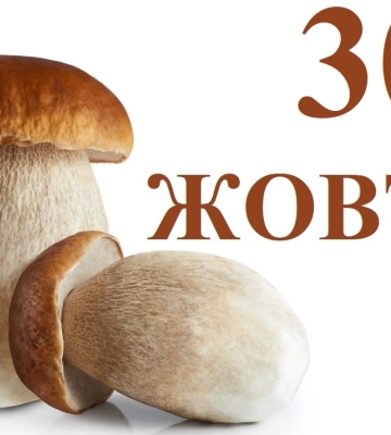 Сегодня 30 октября: какой праздник и день в истории