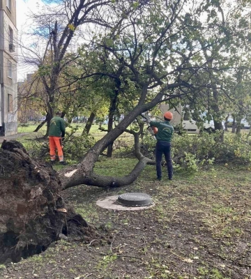 В Харькове вторые сутки убирают поваленные ураганом деревья 