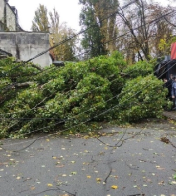 У Києві 28 жовтня зафіксували рекордної швидкості вітер