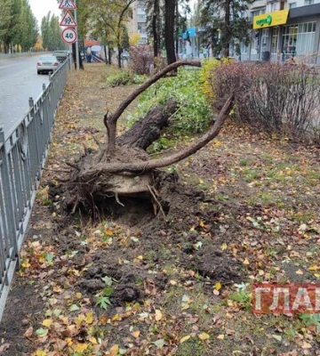У Києві 28 жовтня зафіксували рекордної швидкості вітер