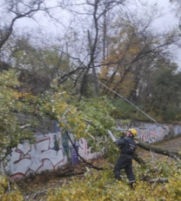 Під час негоди у Києві було зафіксовано рекорд максимальної швидкості вітру: подробиці