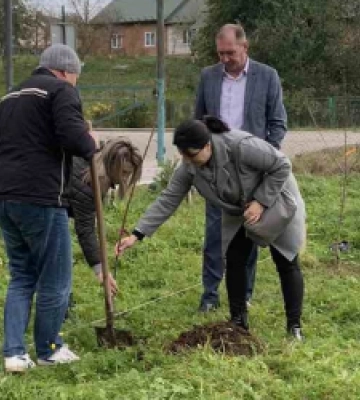 За пропозицією мера Старого Самбора у селі Страшевичі висадили фруктові дерева