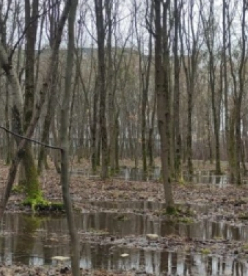 В одному з львівських парків встановлять систему дренажів