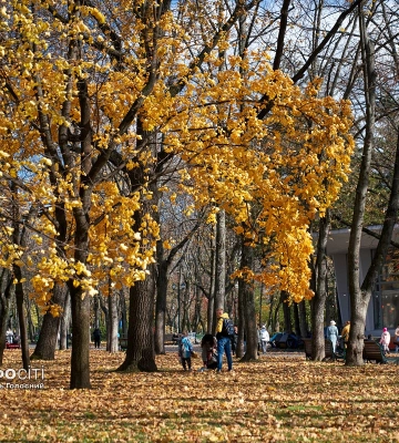 “Бабине літо” не відступає. Прогноз погоди в Харкові та області на 31 жовтня
