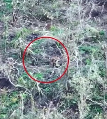 Російські військові після ліквідації свого &quot;побратима&quot; пограбували його та втекли. ВIДЕО