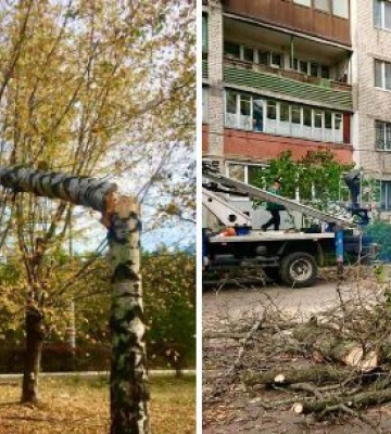 Наслідки негоди: у Києві буревій поламав понад 1200 дерев