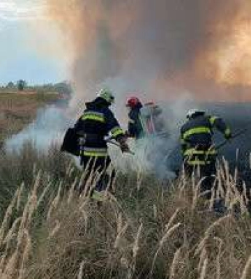 За добу в екосистемах Дніпропетровщини сталося 29 пожеж