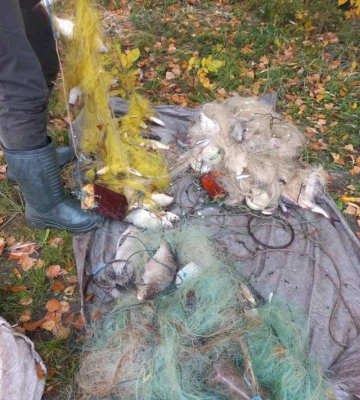 У Світловодську браконьєри наловили риби на понад пів мільйона гривень 
