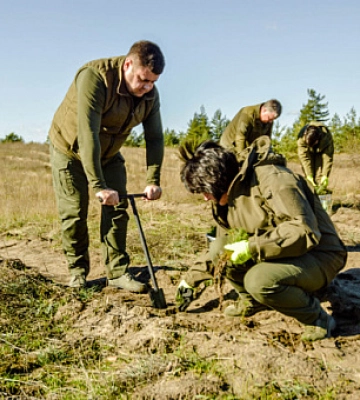 127 тисяч сосен. На Дніпропетровщині висадили ліс у пам`ять про загиблих бійців