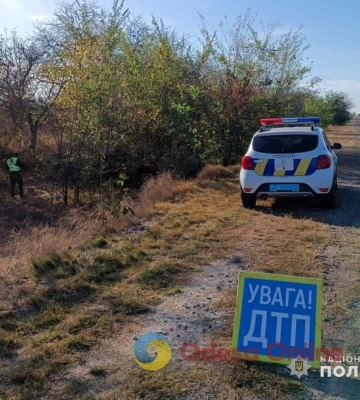 На трасі Одеса-Рені водійка не впоралась з керуванням та злетіла у кювет: постраждала 4-річна дитина