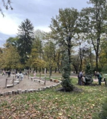 У парках Львова планують висадити понад сотню дерев