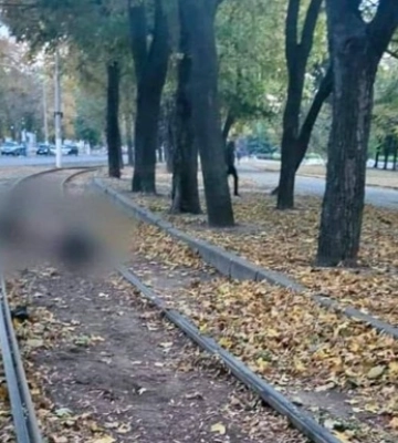 В Одесі собака затягнув господаря під колеса трамваю