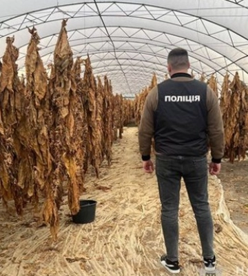На Прикарпатті вилучили тютюнової продукції на понад мільйон гривень