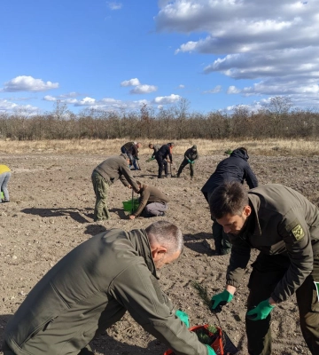 На півдні  планують висадити 34 мільйони нових дерев