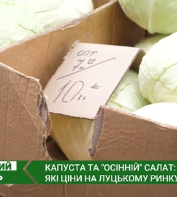Скільки коштує капуста та «осінні» салати на ринку у Луцьку (відео)