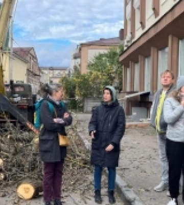Рівняни не дозволили комунальникам зрізати вікове дерево