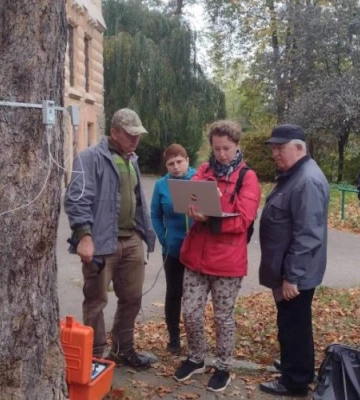 Ялинам у ботсаду Лісотехнічного університету зробили томографію. Результат невтішний