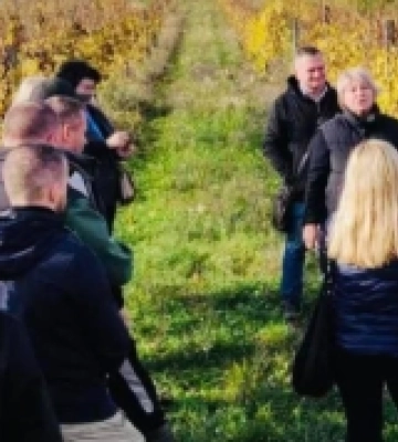 У Мукачівській громаді відбулося дводенне навчання для виноградарів, виноробів та дистиляторів Закарпаття