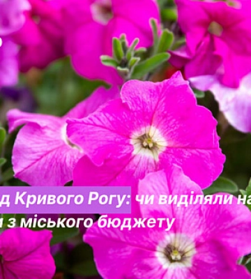 Чи виділялись кошти з міського бюджету на Криворізький ботсад у 2022 році