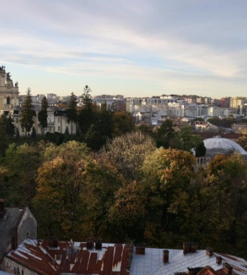 Львівська мерія звернулася до Зеленського, Стефанчука і Шмигаля через ситуацію з Митрополичими садами