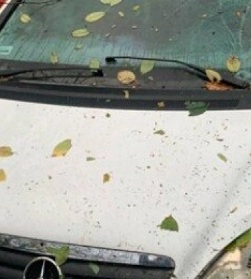 На Полтавщині розшукали керманича, який насмерть збив велосипедистку та втік з місця ДТП