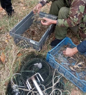 На річці в Одеській області викрили браконьєрів, які наловили раків на понад мільйон гривень