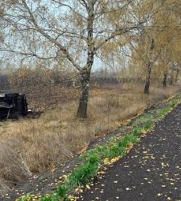 На Полтавщині перекинулась автівка: двоє дорослих та двоє дітей потрапили до лікарні