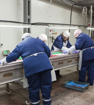 У Малині за понад 2 млн доларів продають фабрику із заморожування ягід У Малині за понад 2 млн доларів продають фабрику із заморожування ягід