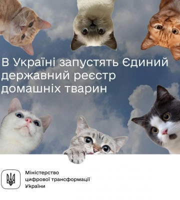 Україна потрапила до антирейтингу за кількістю бездомних тварин
