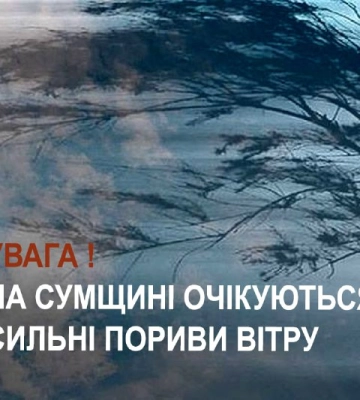 На Сумщині прогнозують сильний вітер