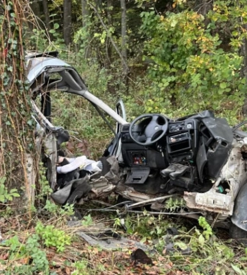 На Львівщині юний водій в смертельній ДТП розім’яв машину об дерево