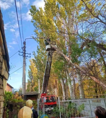 В Одесі через шторм впали 18 дерев та великих гілок