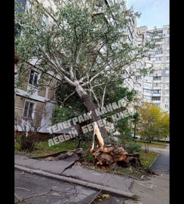 У Києві через негоду постраждала людина, також сталося підтоплення в деяких районах міста