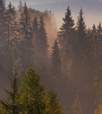 Погода у Львові на тиждень: температура поступово знижується
