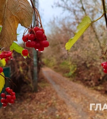 Хмарно з проясненнями, місцями дощ: прогноз погоди на 6 листопада